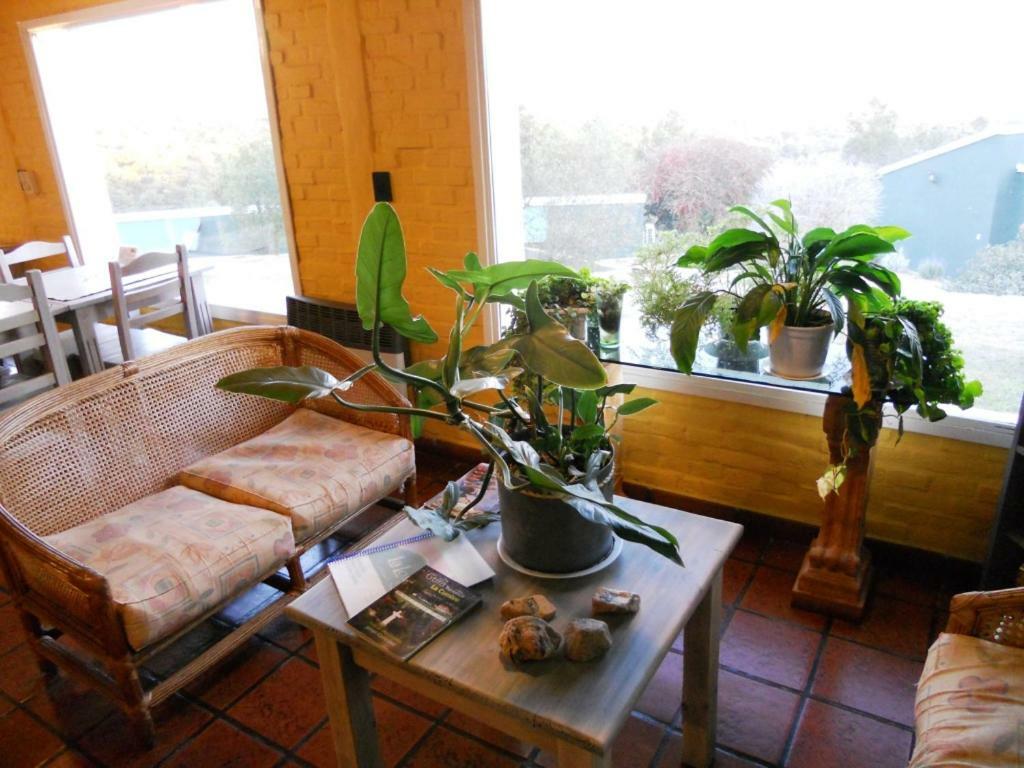 La Loma - Cabanas & Suites فيلا كارلوس باز المظهر الخارجي الصورة
